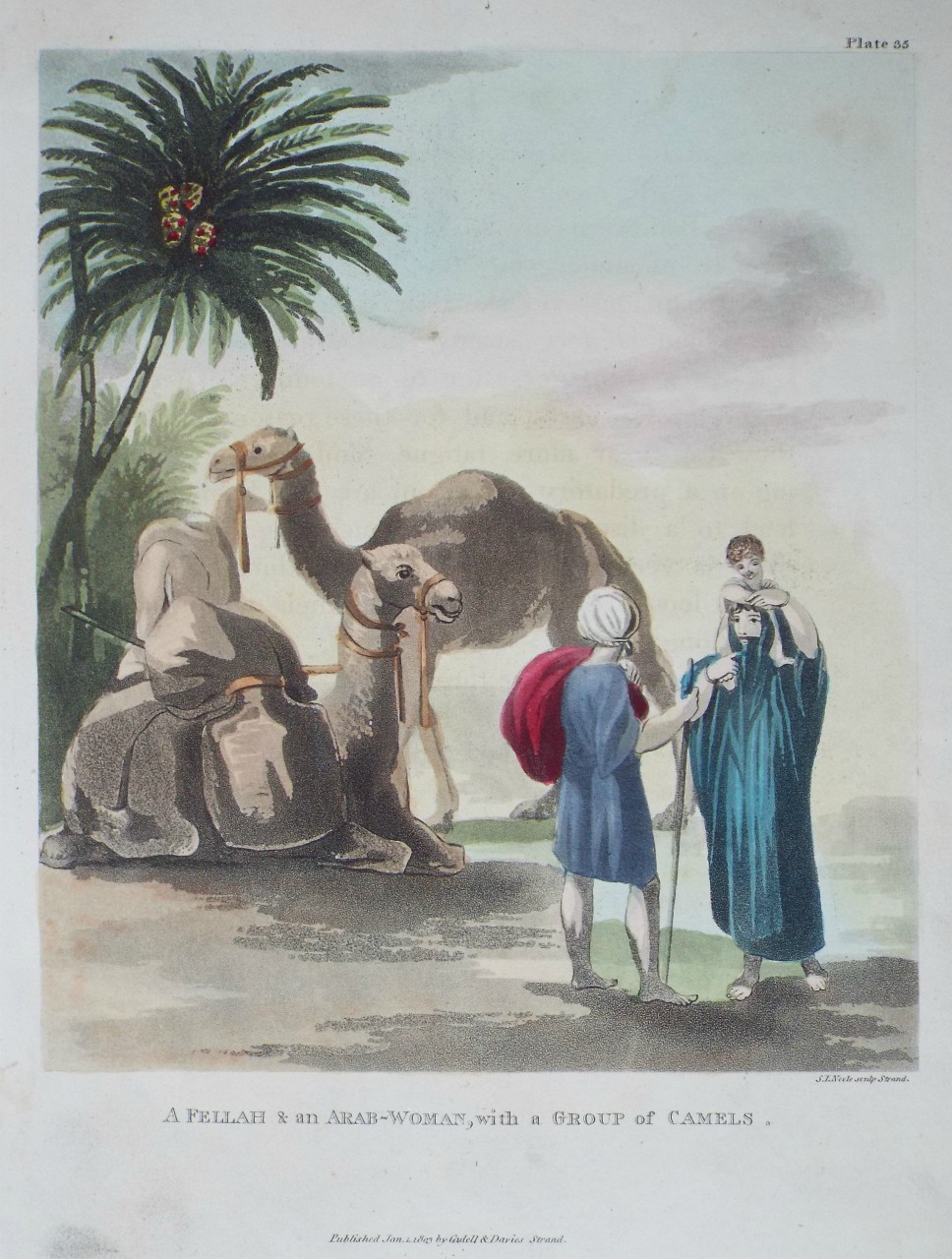 Aquatint - A Fellah & an Arab-Woman, with a Group of Camels. - Neele