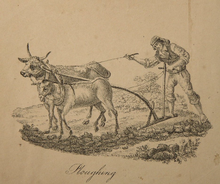 Lithograph - Ploughing
