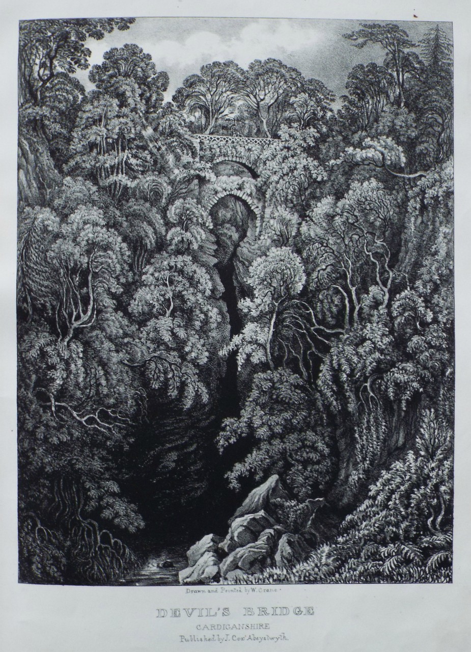 Lithograph - Devil's Bridge Cardiganshire - Crane