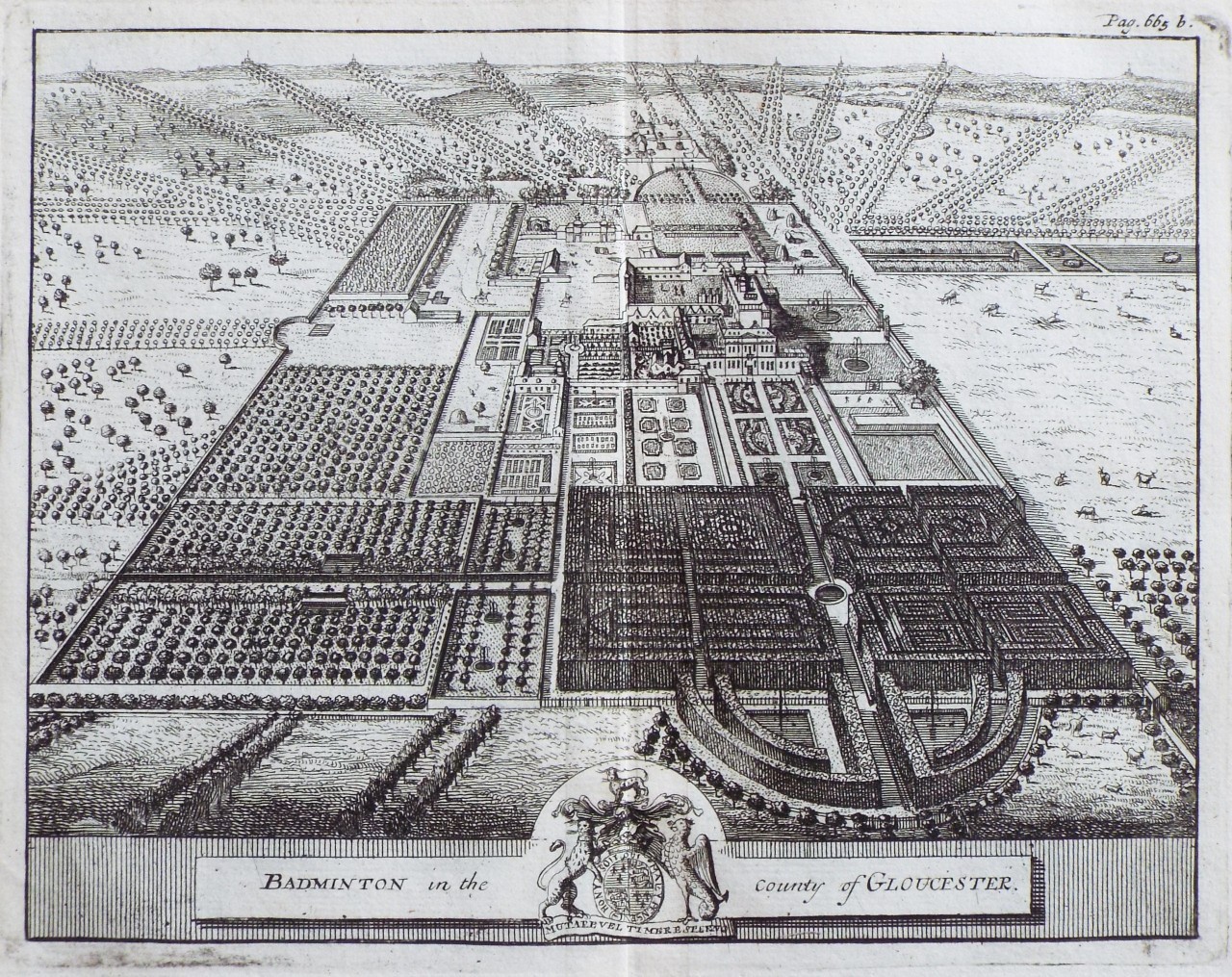 Print - Badminton in the County of Gloucester.