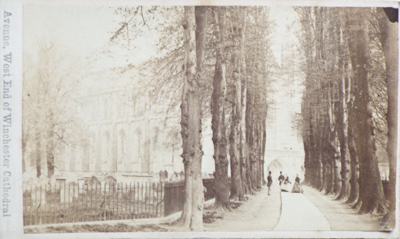 Photograph - Avenue, West End of Winchester Cathedral