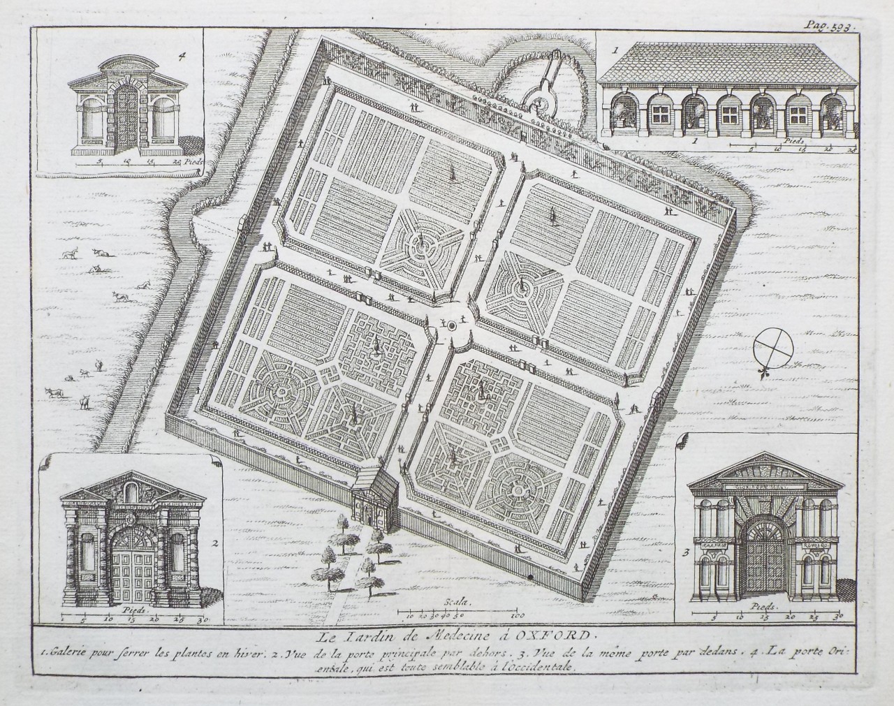 Print - Le Jardin de Medecine a Oxford.