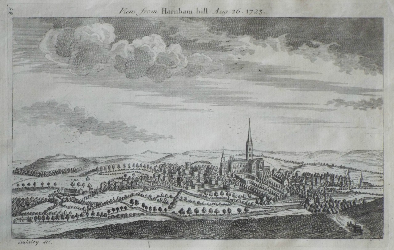 Print - View from Harnham hill Aug 26. 1723.