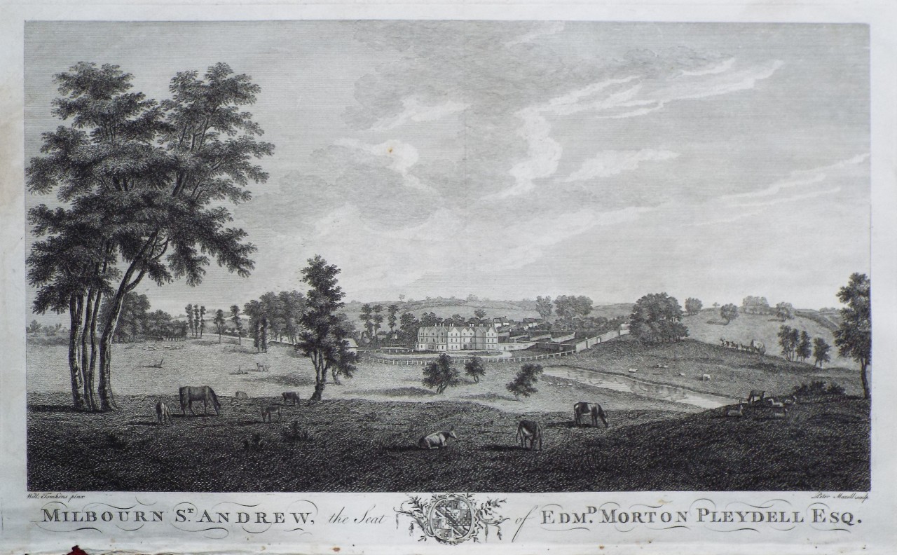 Print - Milbourn St. Andrew, the Seat of Edmd. Morton Pleydell Esq. - Mazell