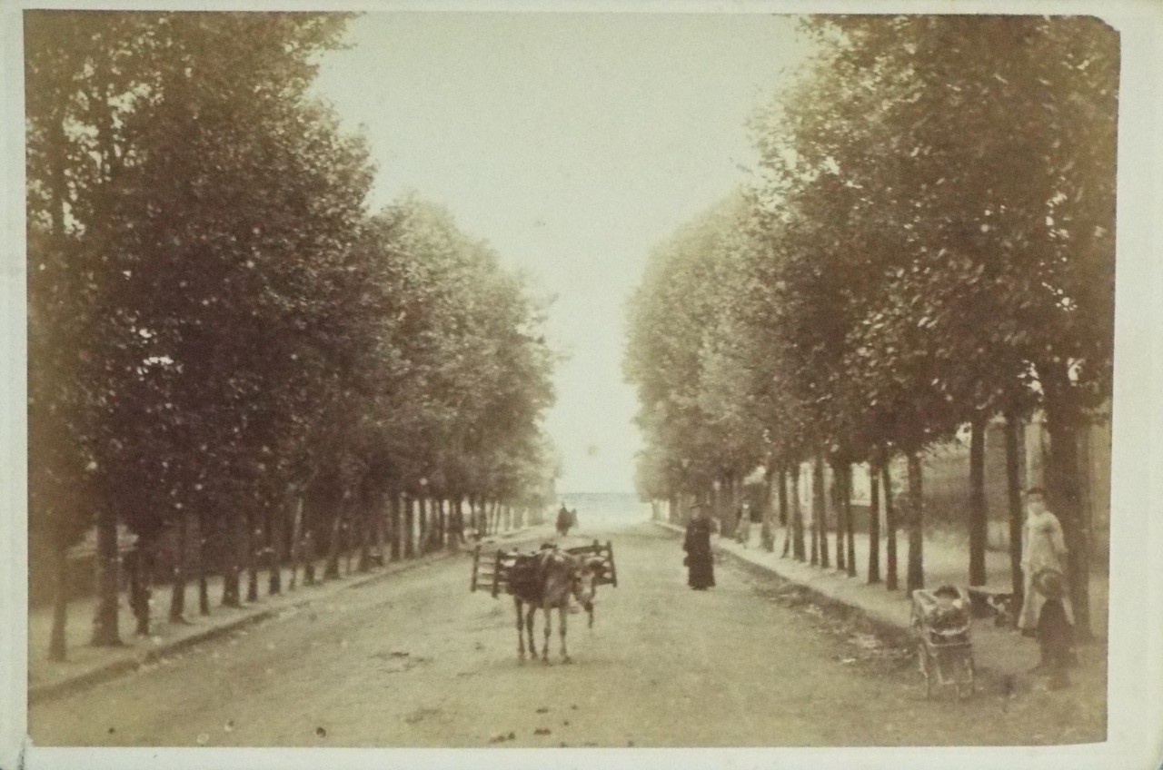 Photograph - Parame. Avenue Rochebonne.