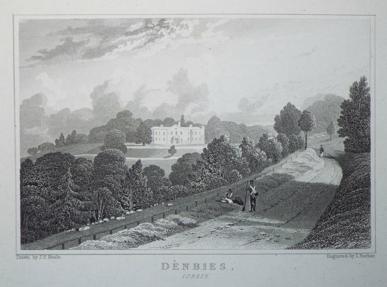 Print - Denbies, Surrey. - Barber