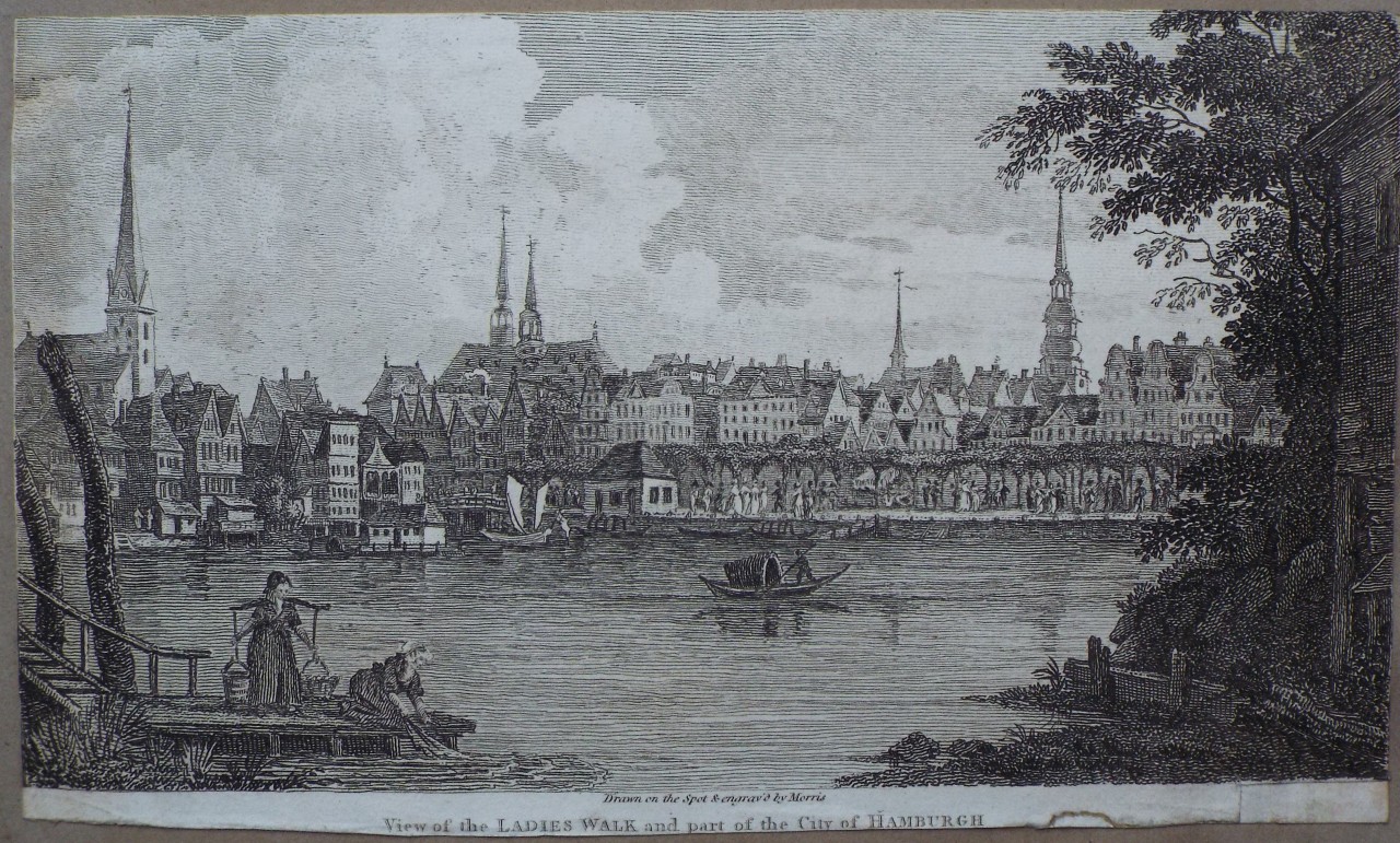 Print - View of the Ladies Walk and part of the city of Hamburgh - 