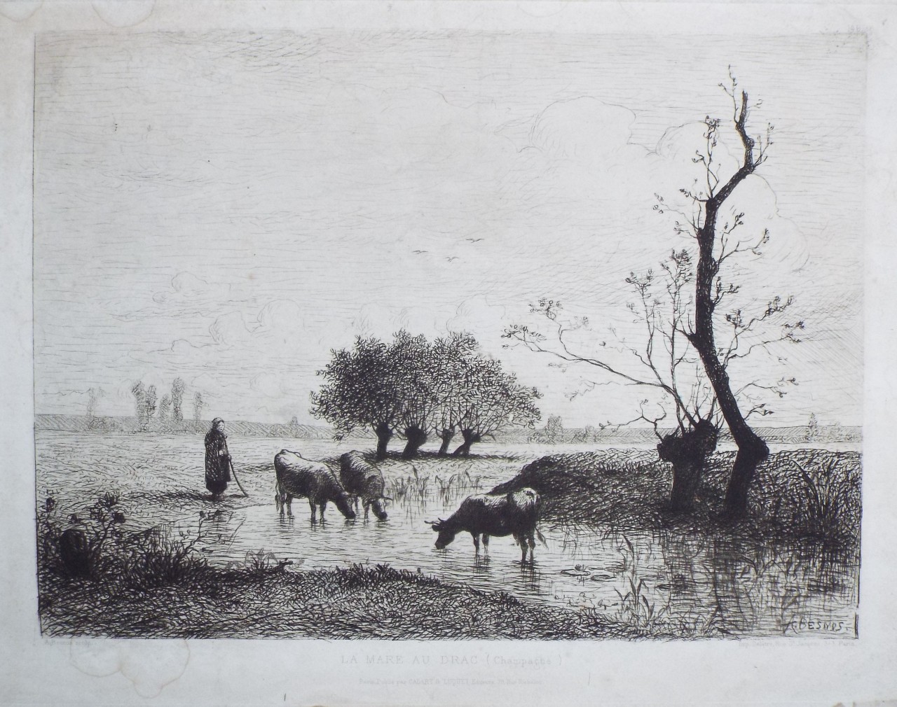 Etching - La Mare au Drac (Champagne). - Besnus
