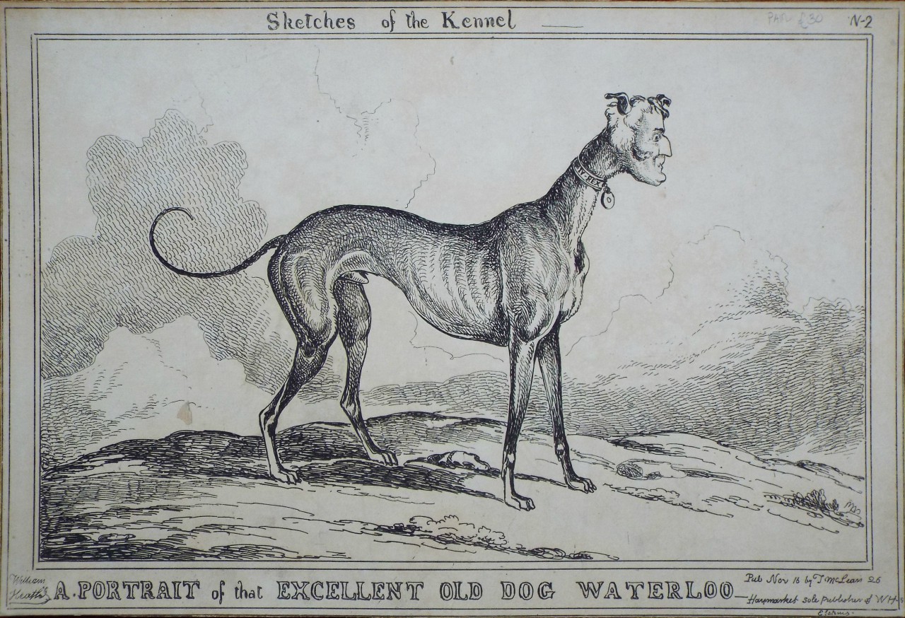 Etching - Sketches of the Kennel No.2. Portrait of that Excellent Old Dog Waterloo - Heath