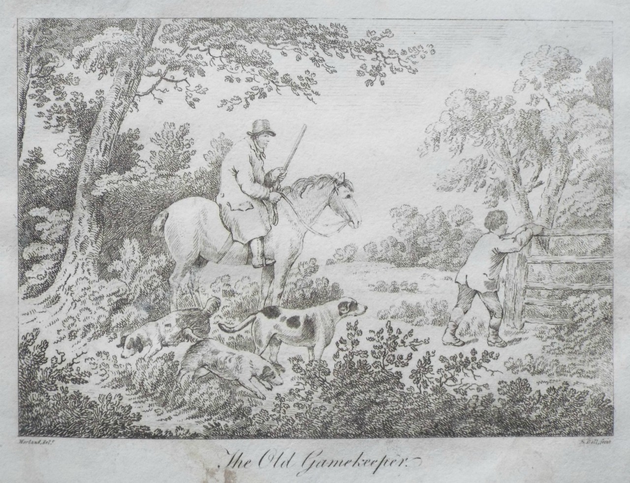 Etching - The Old Gamekeeper.