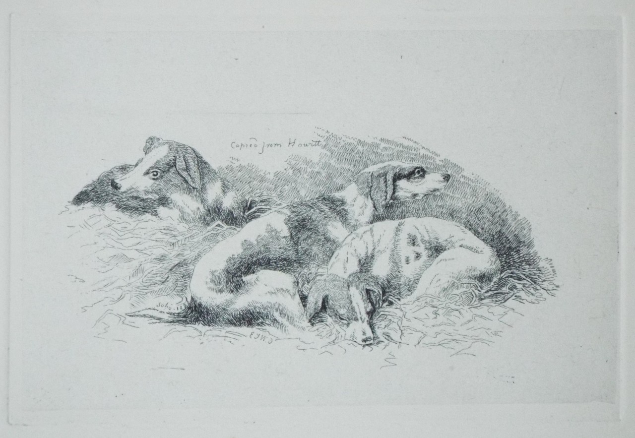 Etching - Three Hounds - Wilkinson