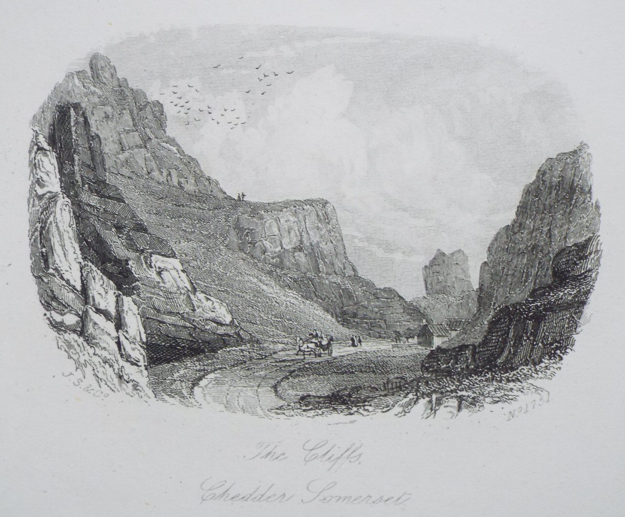 Steel Vignette - The Cliffs, Chedder Somerset - J