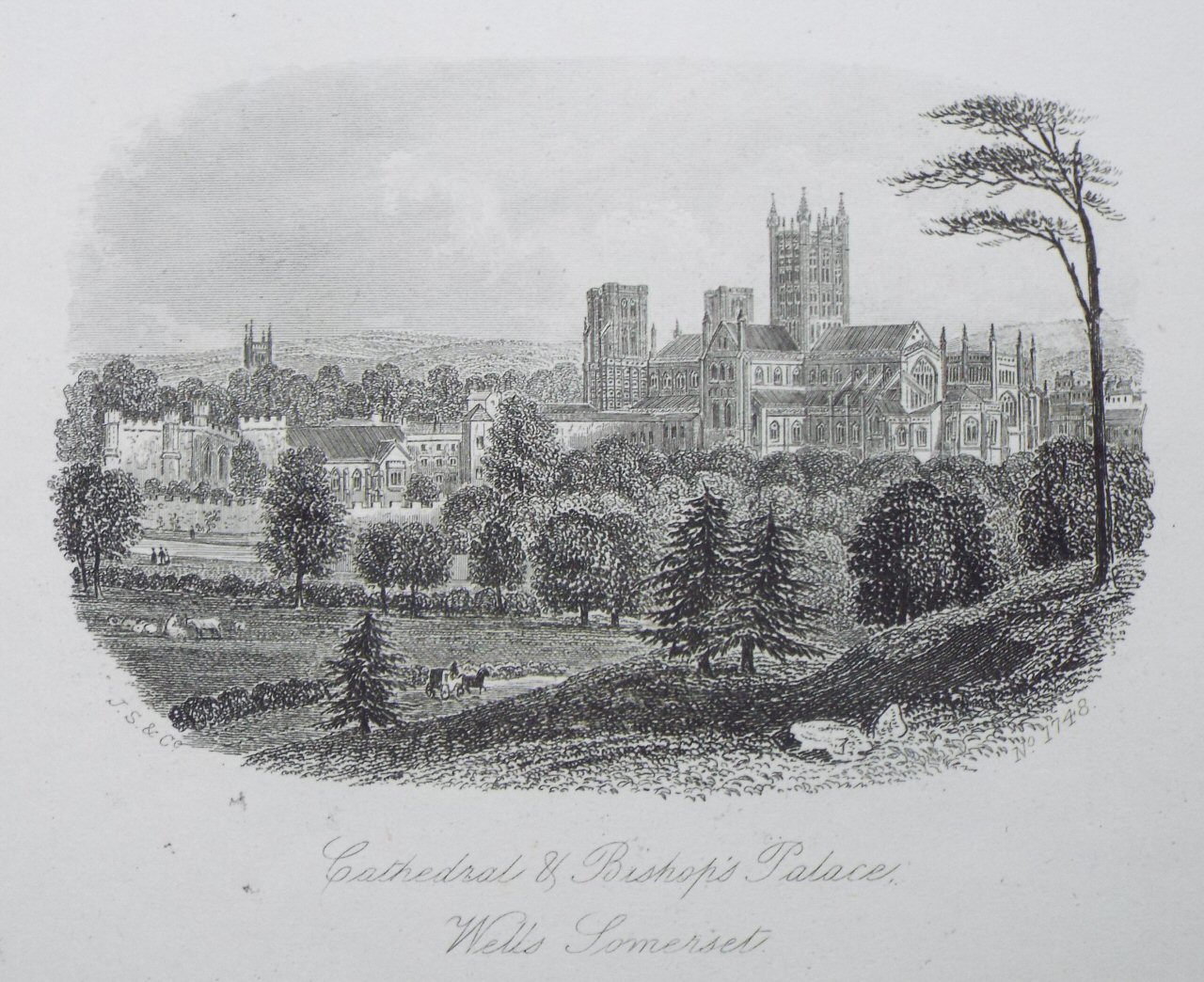 Steel Vignette - Cathedral & Bishop's Palace, Wells Somerset - J