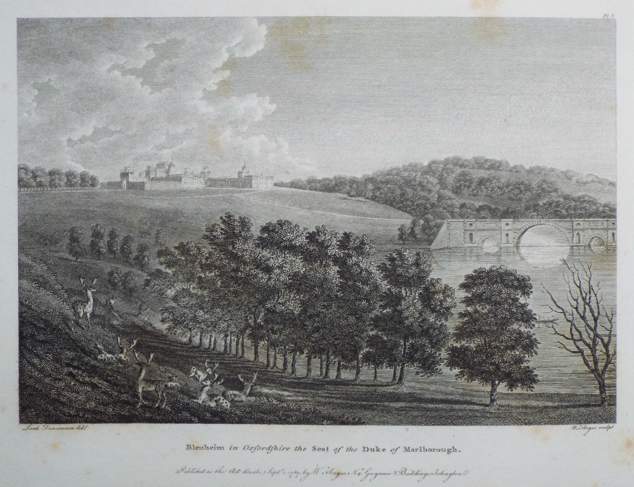 Print - Blenheim in Oxfordshire the Seat of the Duke of Marlborough. - Angus