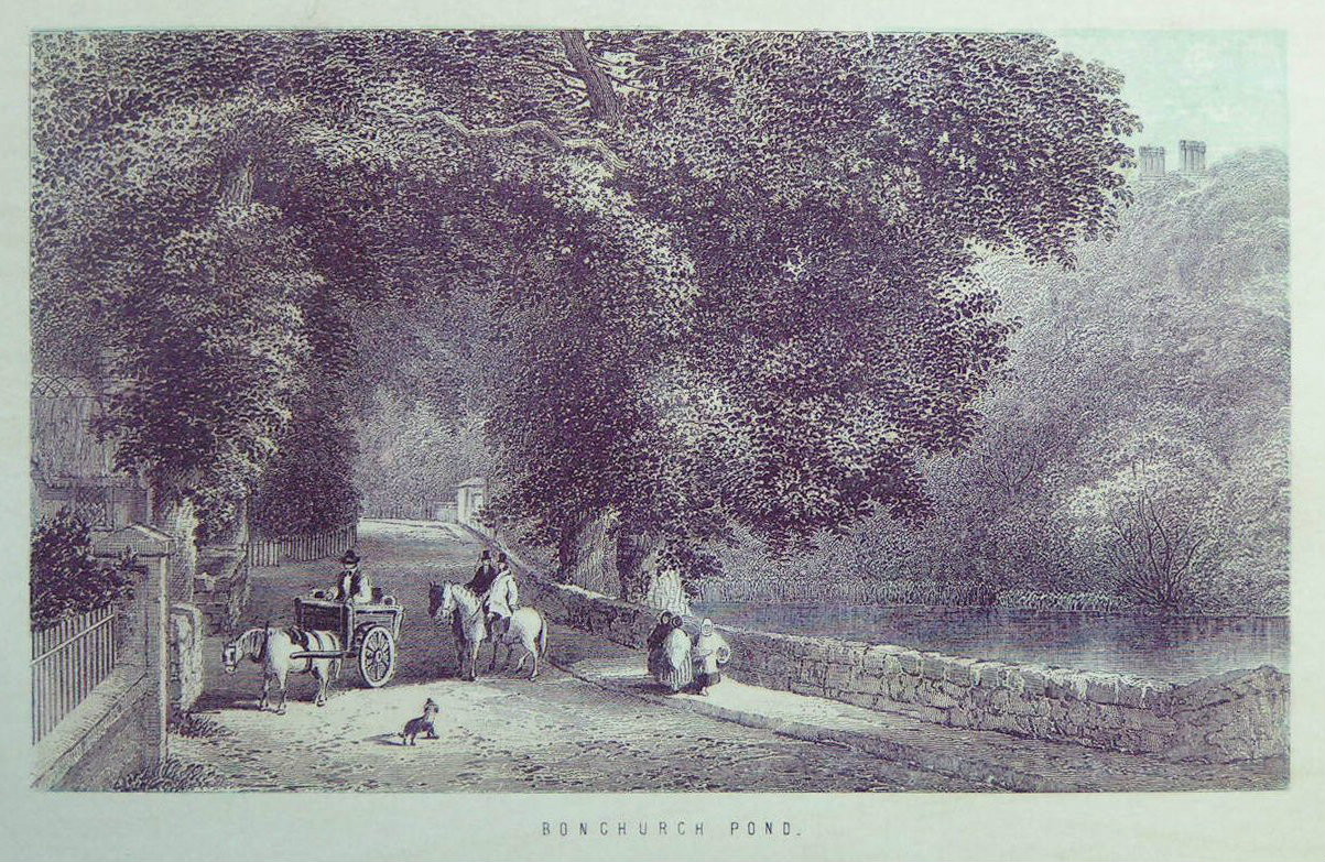 Chromo-lithograph - Bonchurch Pond