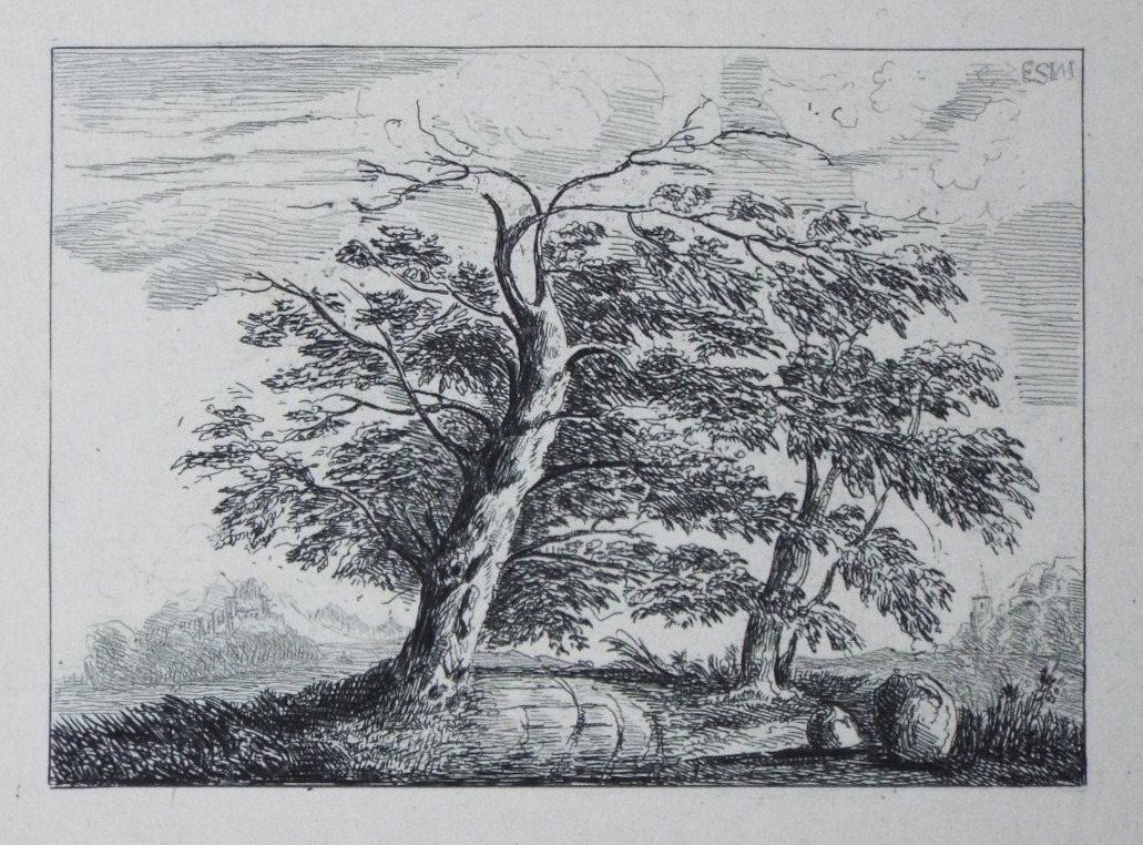 Etching - Lane between two trees - Wilkinson