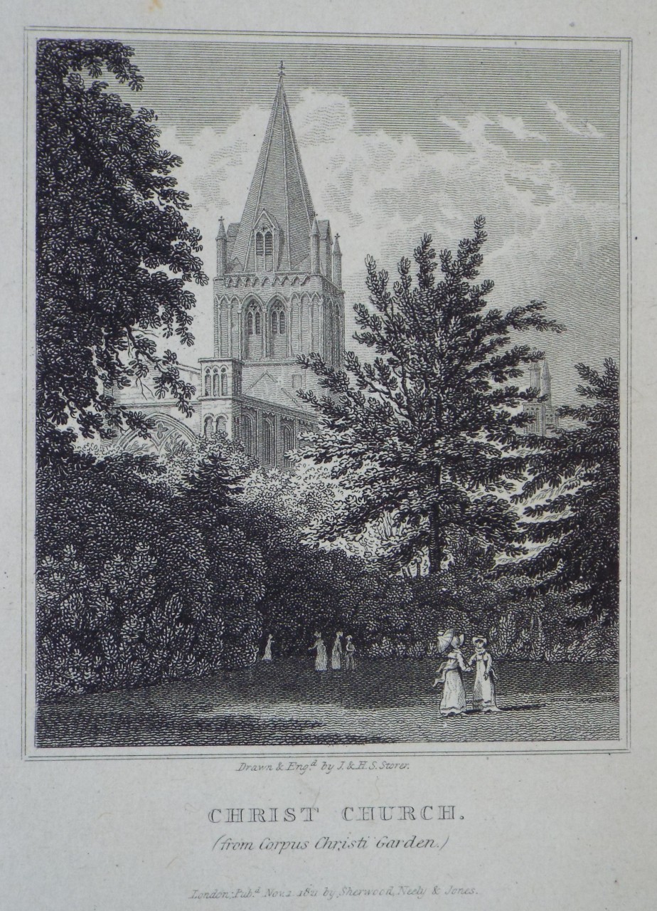 Print - Christ Church. (from Corpus Christi Garden.) - Storer