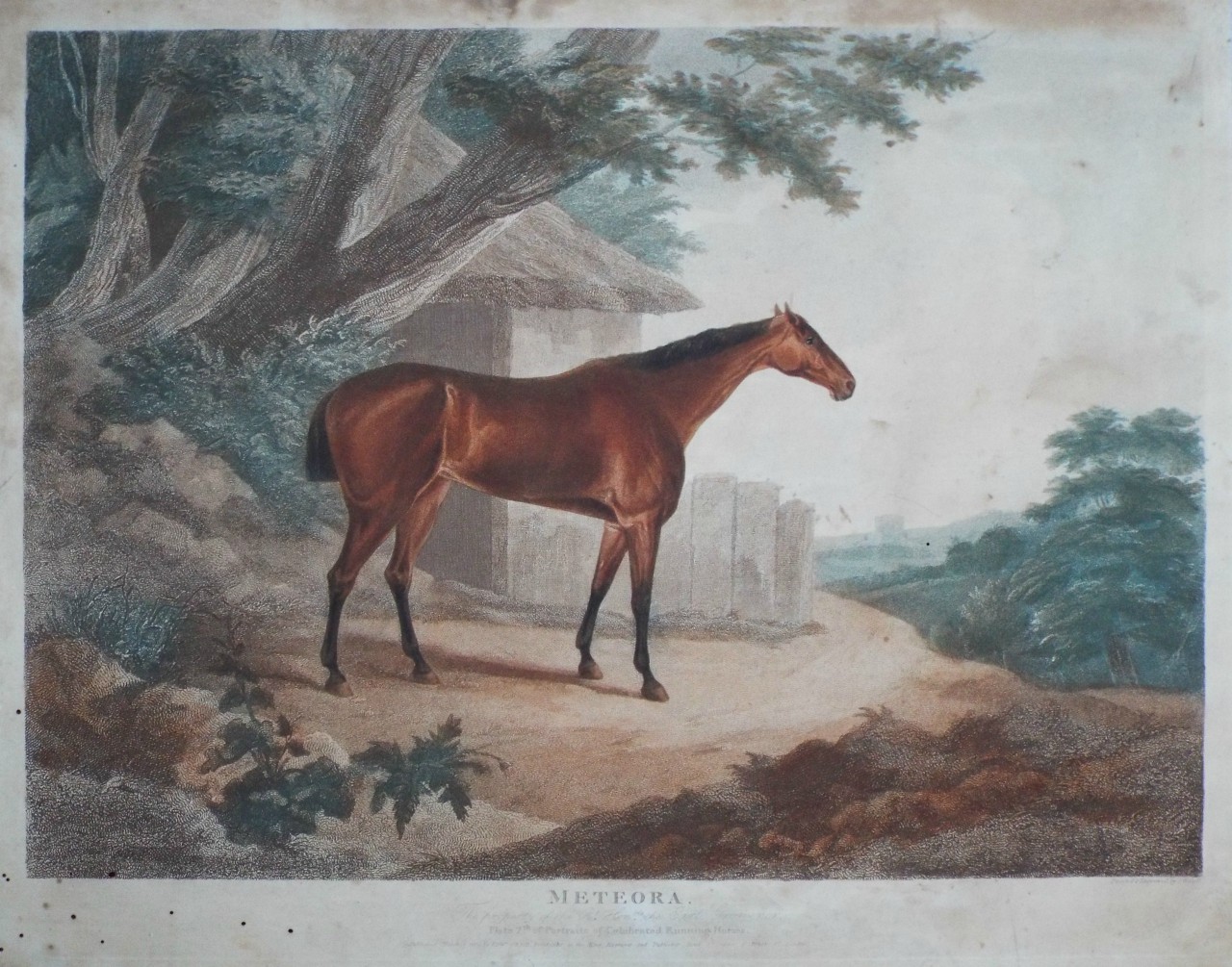 Stipple - Meteora. The property of the Rt. Honble. the Earl Grosvenor. Plate 7th of Celebrated Running Horses. - Whessell