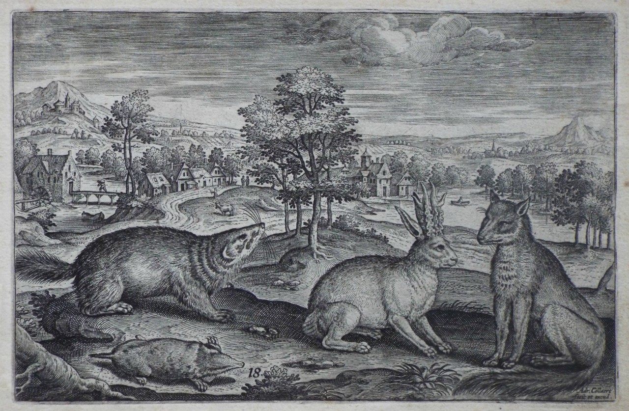 Print - Plate 18: A mole, a badger, a horned hare and a fox - Collaert