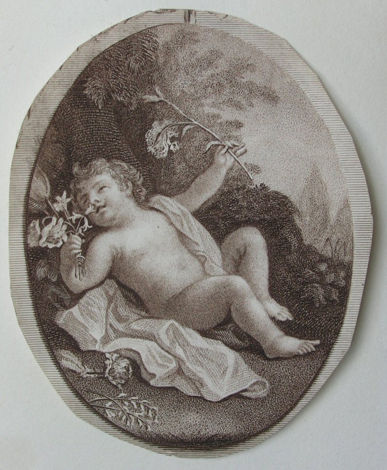 Stipple - (Cherub)