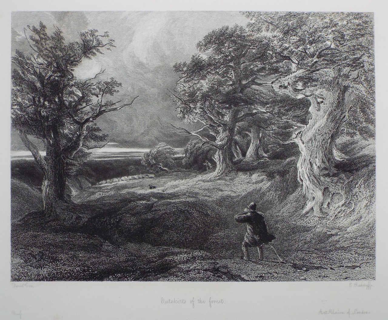 Etching - Outskirts of the Forest. - Radclyffe
