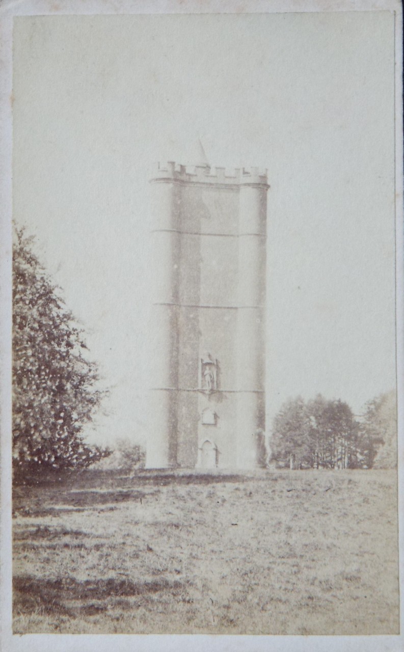 Photograph - Alfred's Tower, Stourhead