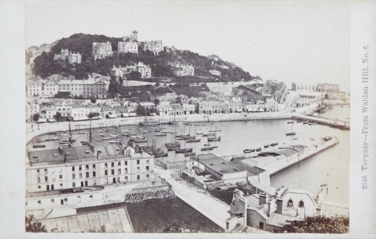 Photograph - Torquay - From Waldon Hill. No. 2.