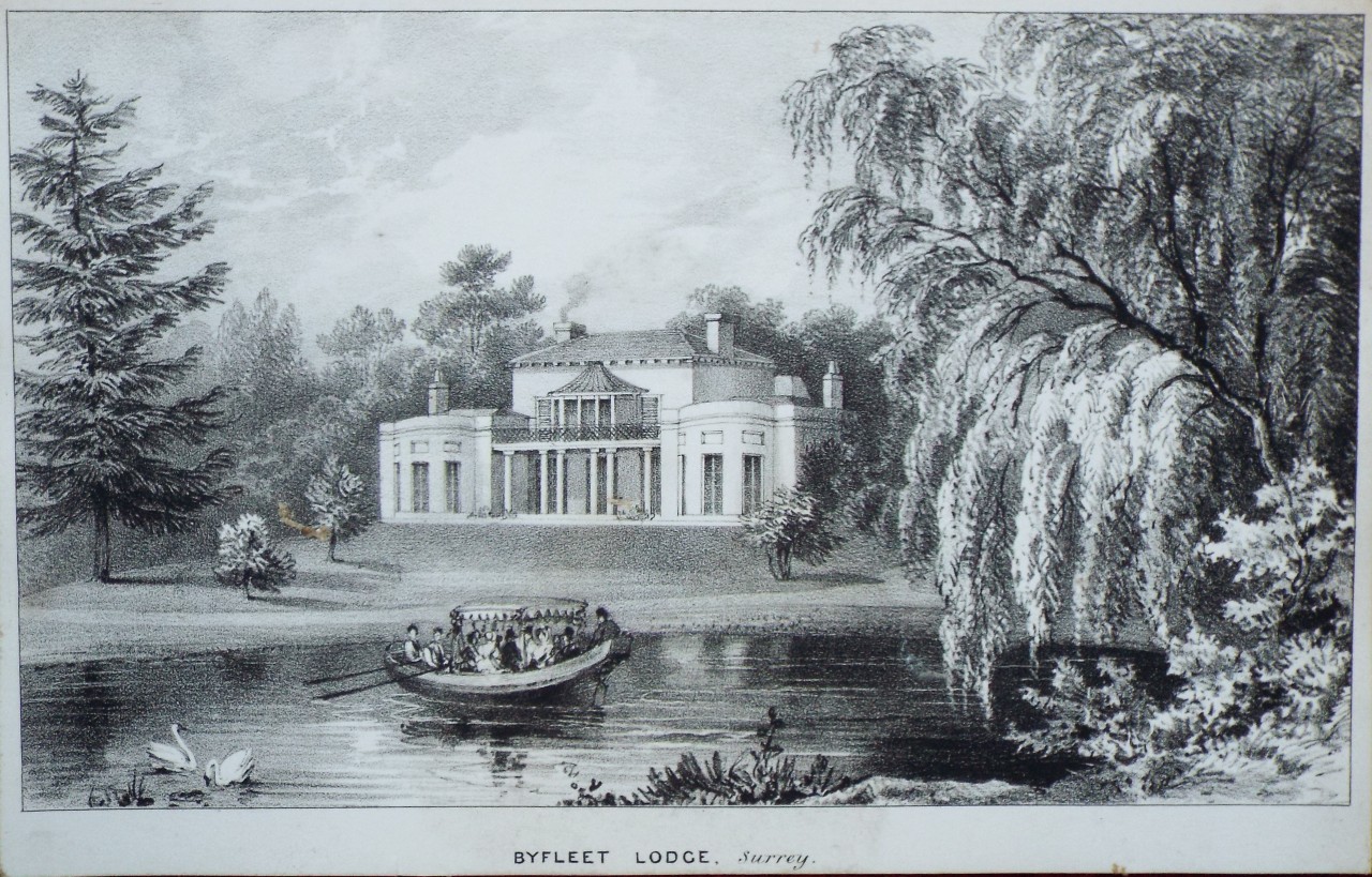 Lithograph - Byfleet Lodge, Surrey.