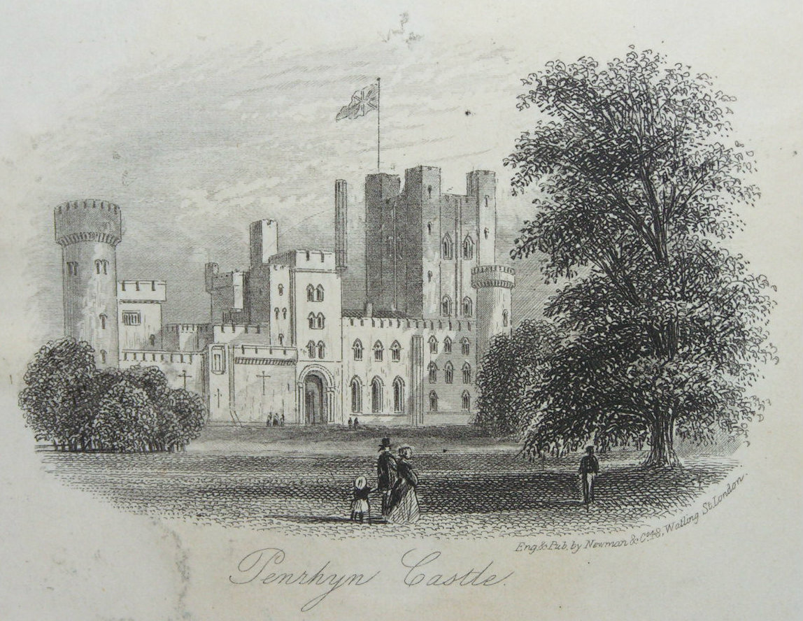 Steel Vignette - Penrhyn Castle. - Newman