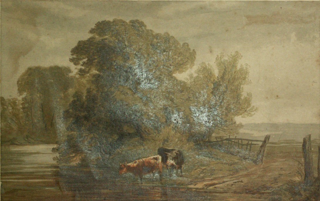 Watercolour - (Two cows drinking at a river)