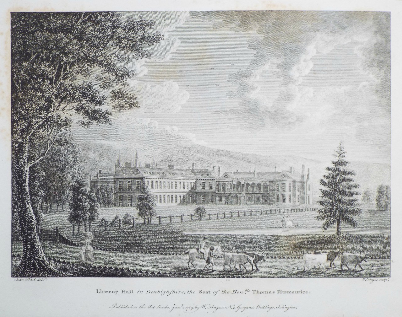 Print - Lleweny Hall in Denbighshire, the Seat of the Honble. Thomas Fitzmaurice. - Angus