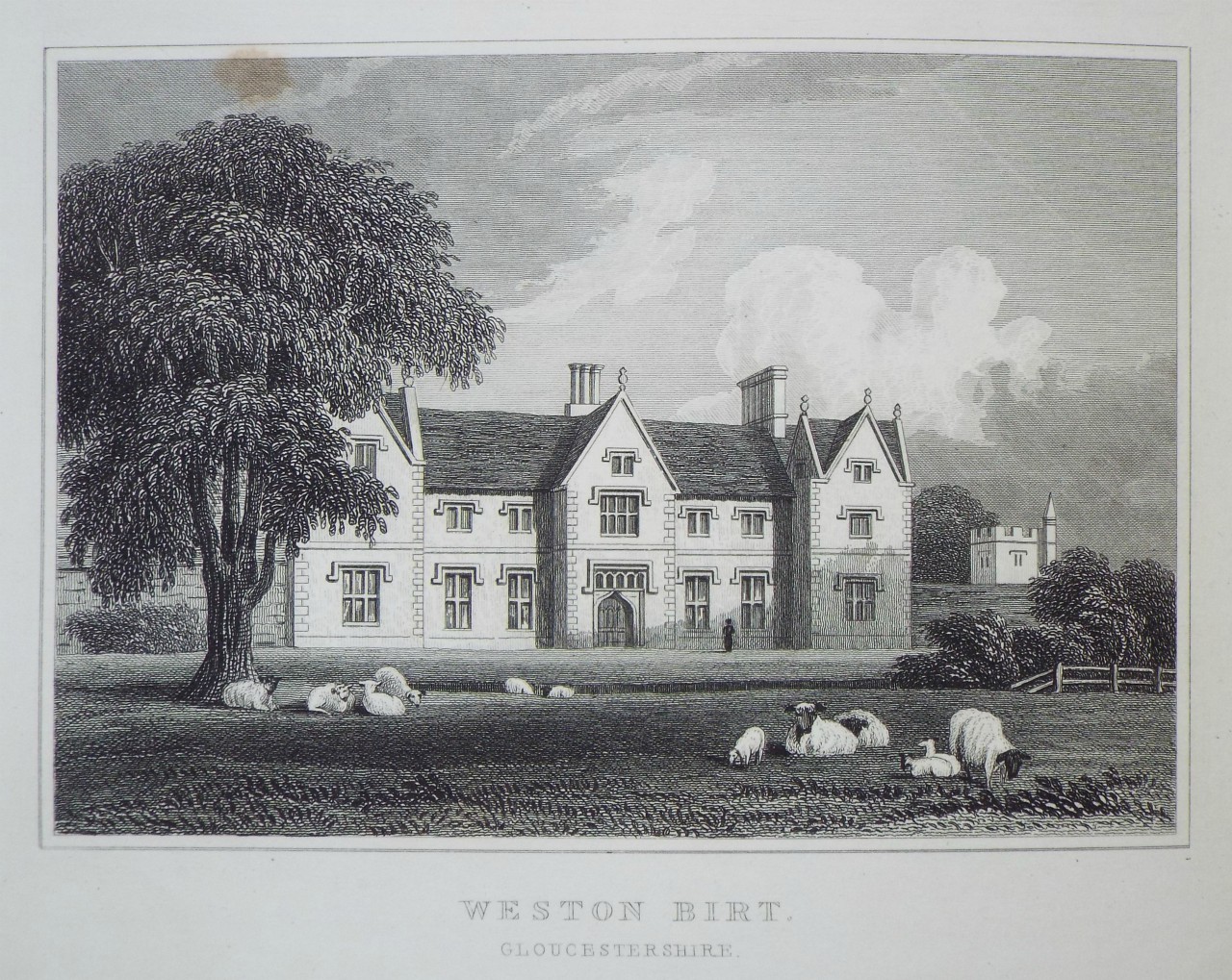 Print - Weston Birt. Gloucestershire. - Taylor