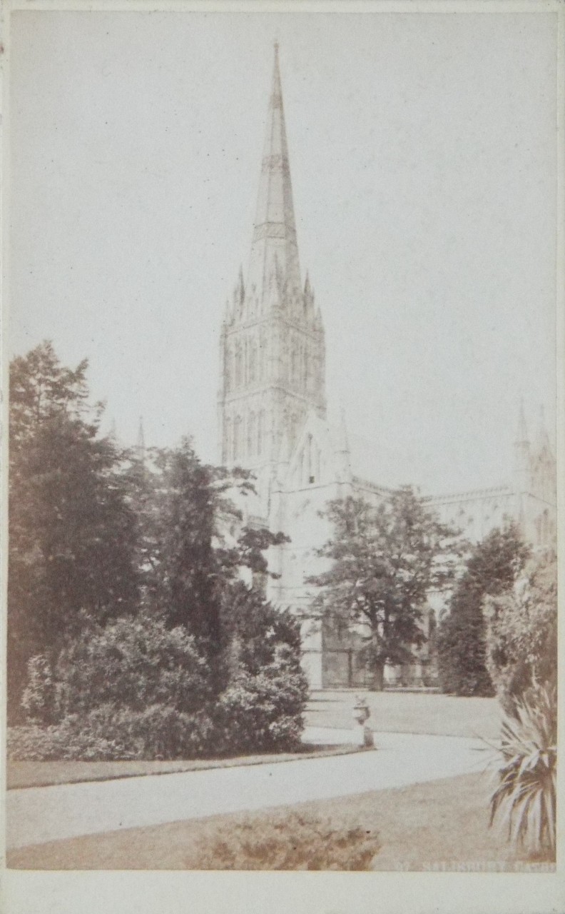 Photograph - Salisbury Cathedral from SE