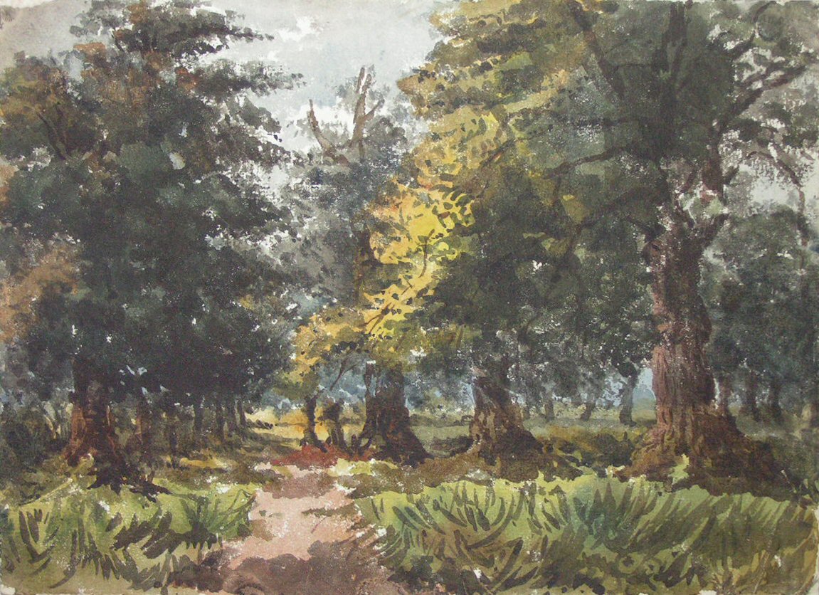 Watercolour - Woodland landscape