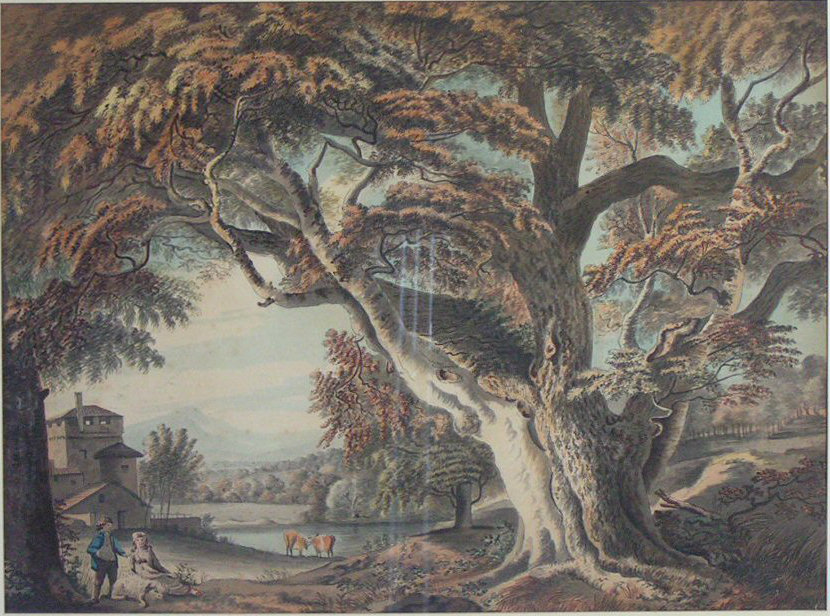 Watercolour - Arcadian woodland landscape with a lake and cattle