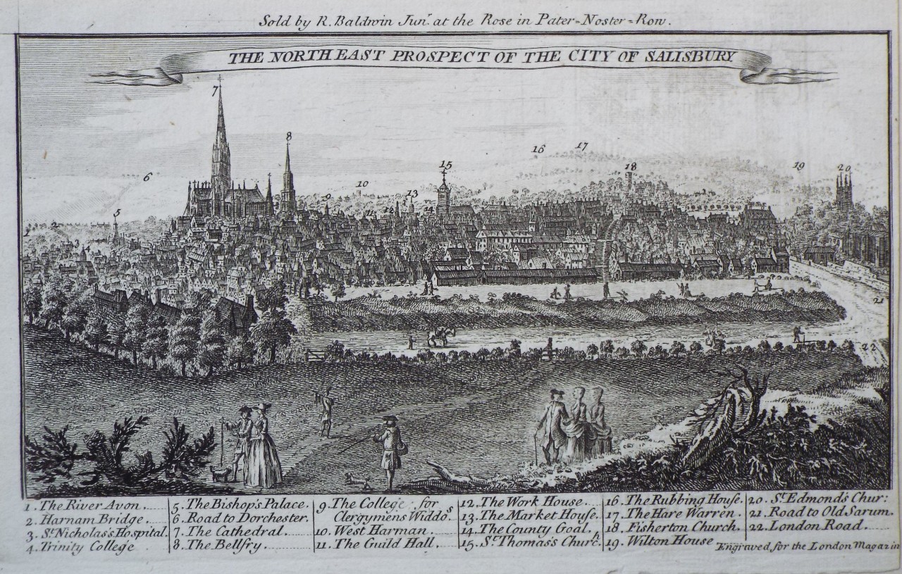 Print - The North East Prospect of the City of Salisbury
