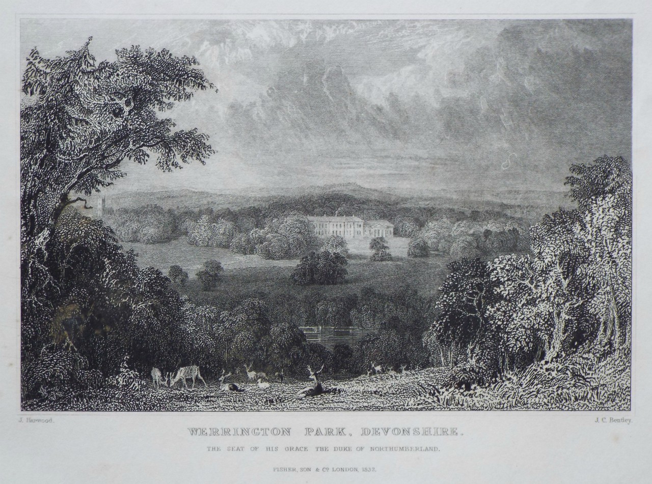 Print - Werrington Park, Devonshire. - Le