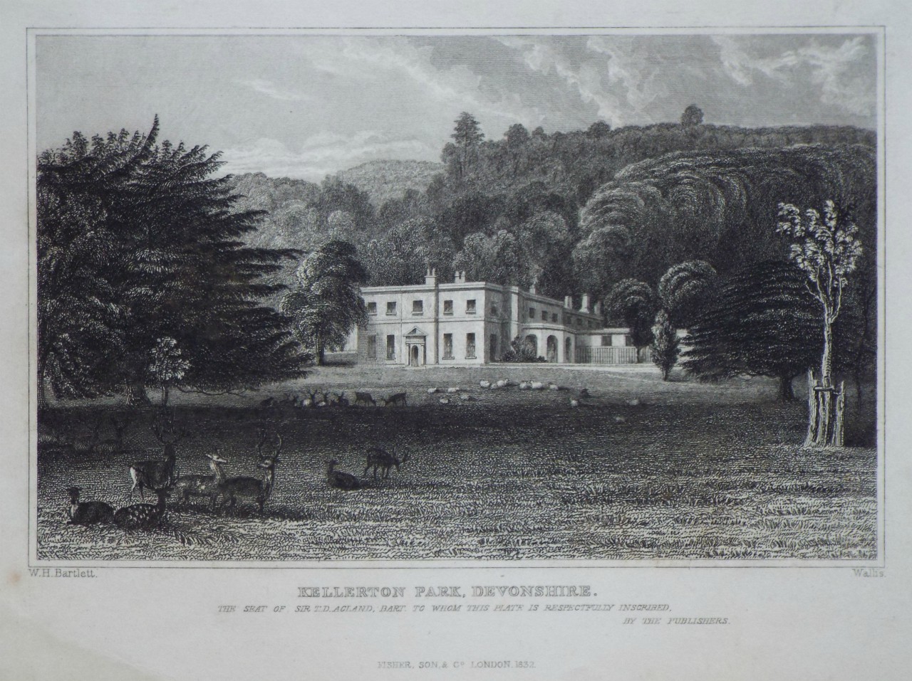 Print - Kellerton Park, Devonshire. The Seat of Sir T. D. Acland, Bart. - 