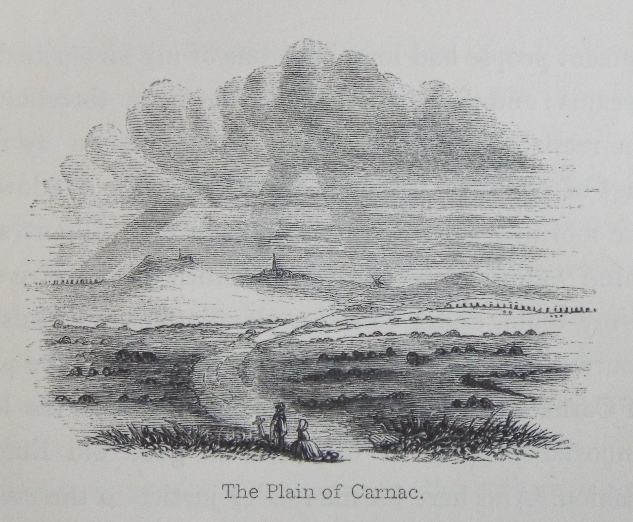 Wood - The Plain of Carnac.