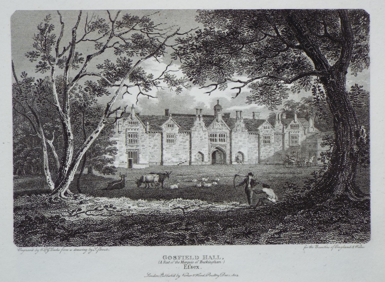 Print - Gosfield Hall, (A Seat of the Marquis of Buckingham) Essex. - Cooke