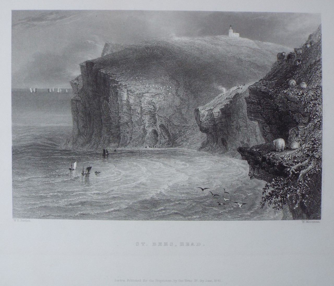 Print - St. Bees Head. - Mossman
