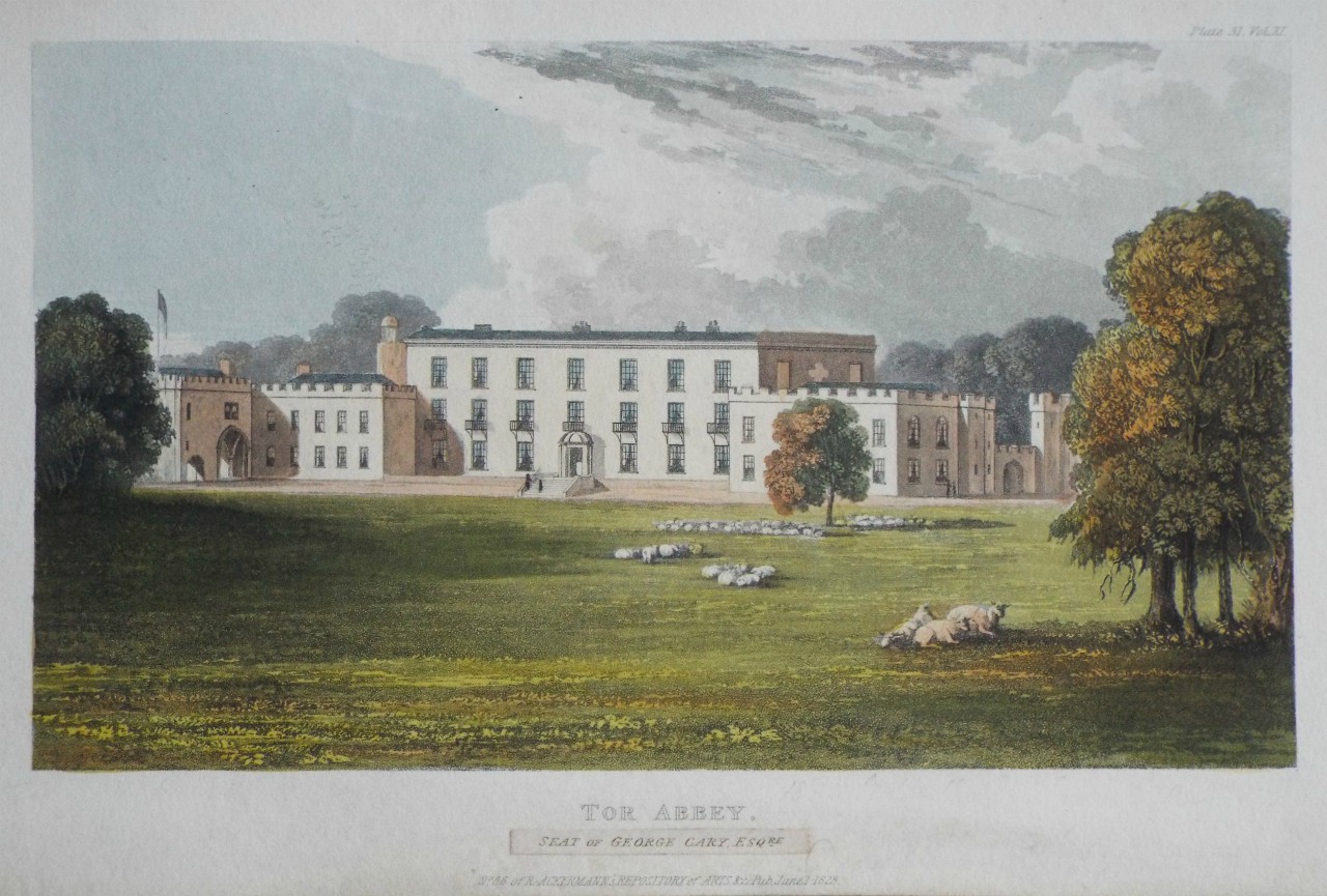 Aquatint - Tor Abbey, Seat of George Cary Esqr.