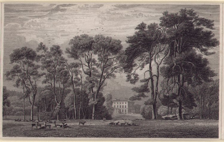 Print - Teffont-Evias Manor House, Wiltshire - Rawle