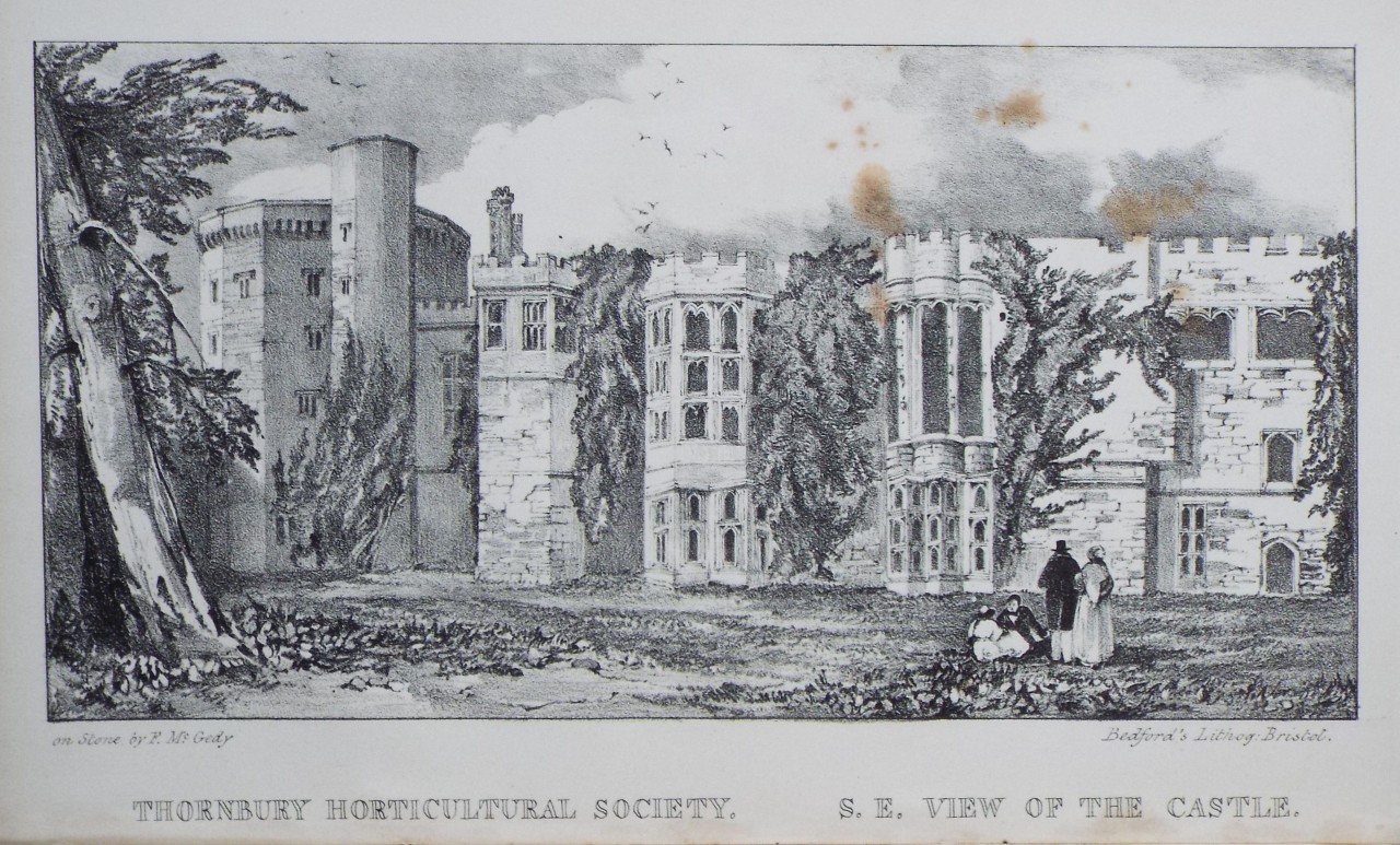 Lithograph - Thornbury Horticultural Society. S. E. View of the Castle.