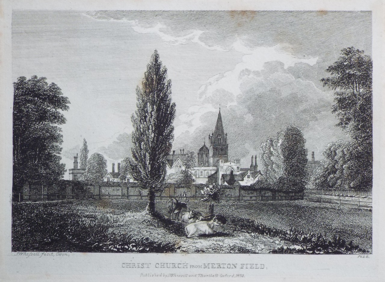 Print - Christ Church from Merton Field. - Whessell