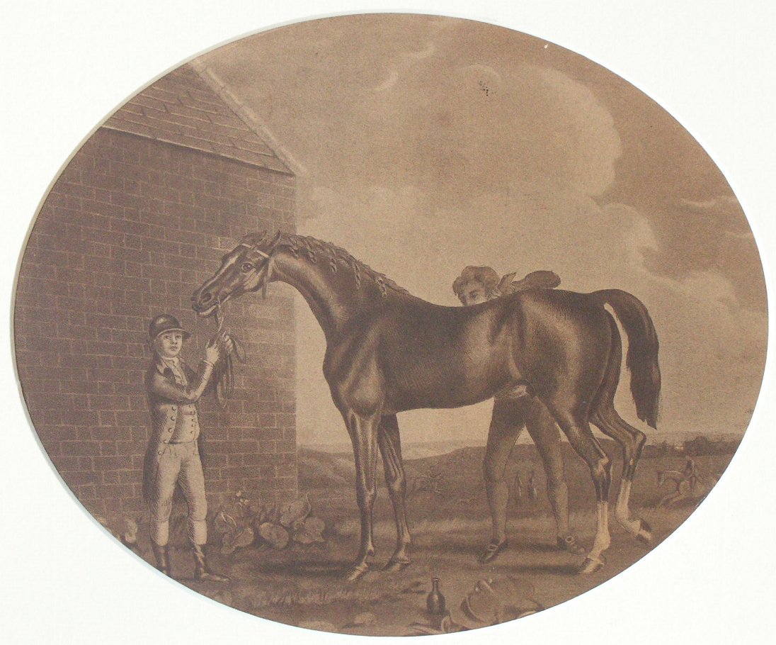 Lithograph - (Life and Death of a Racehorse 2)