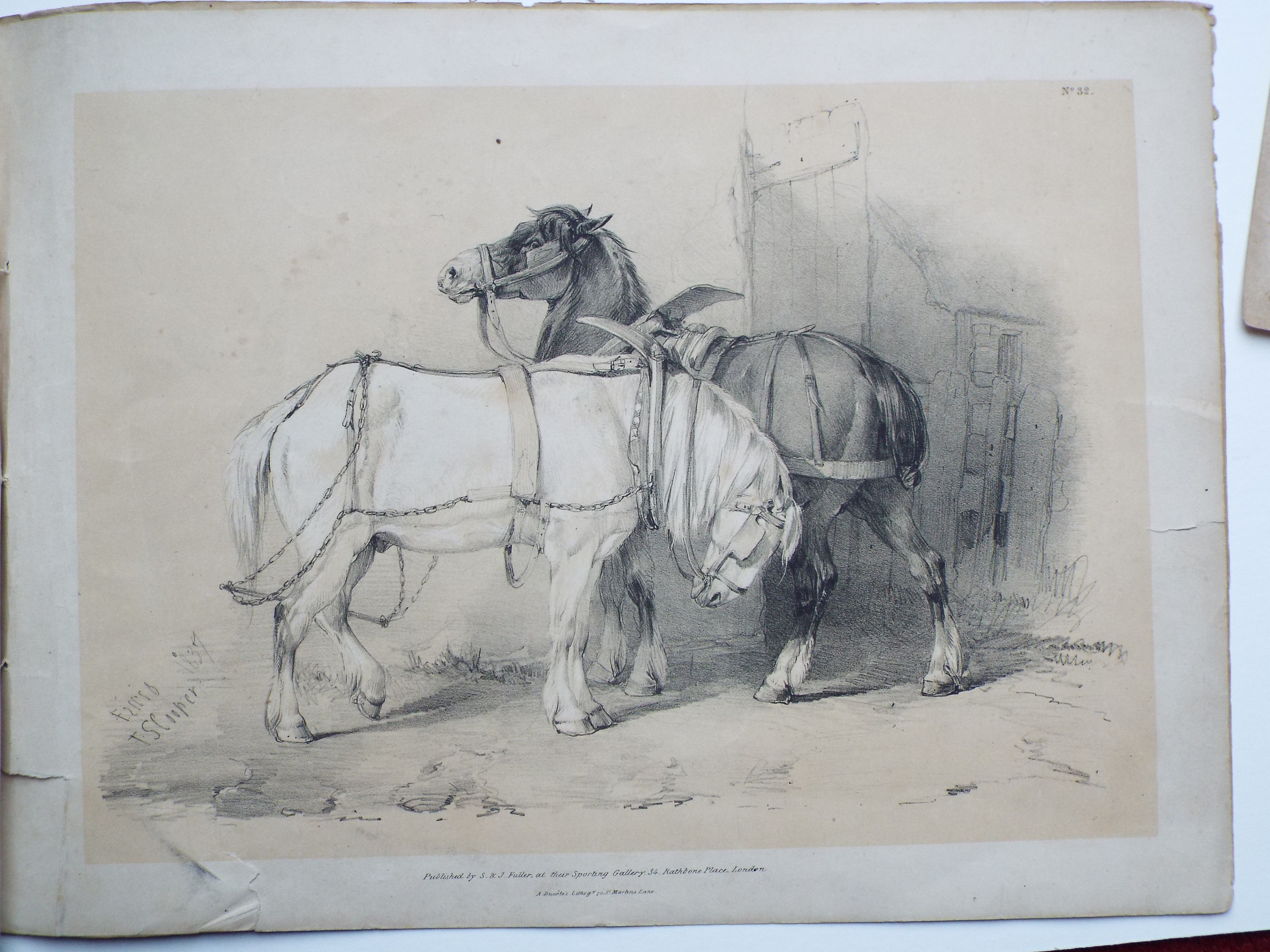 Lithograph - No. 31 (Two shire horses) - Cooper