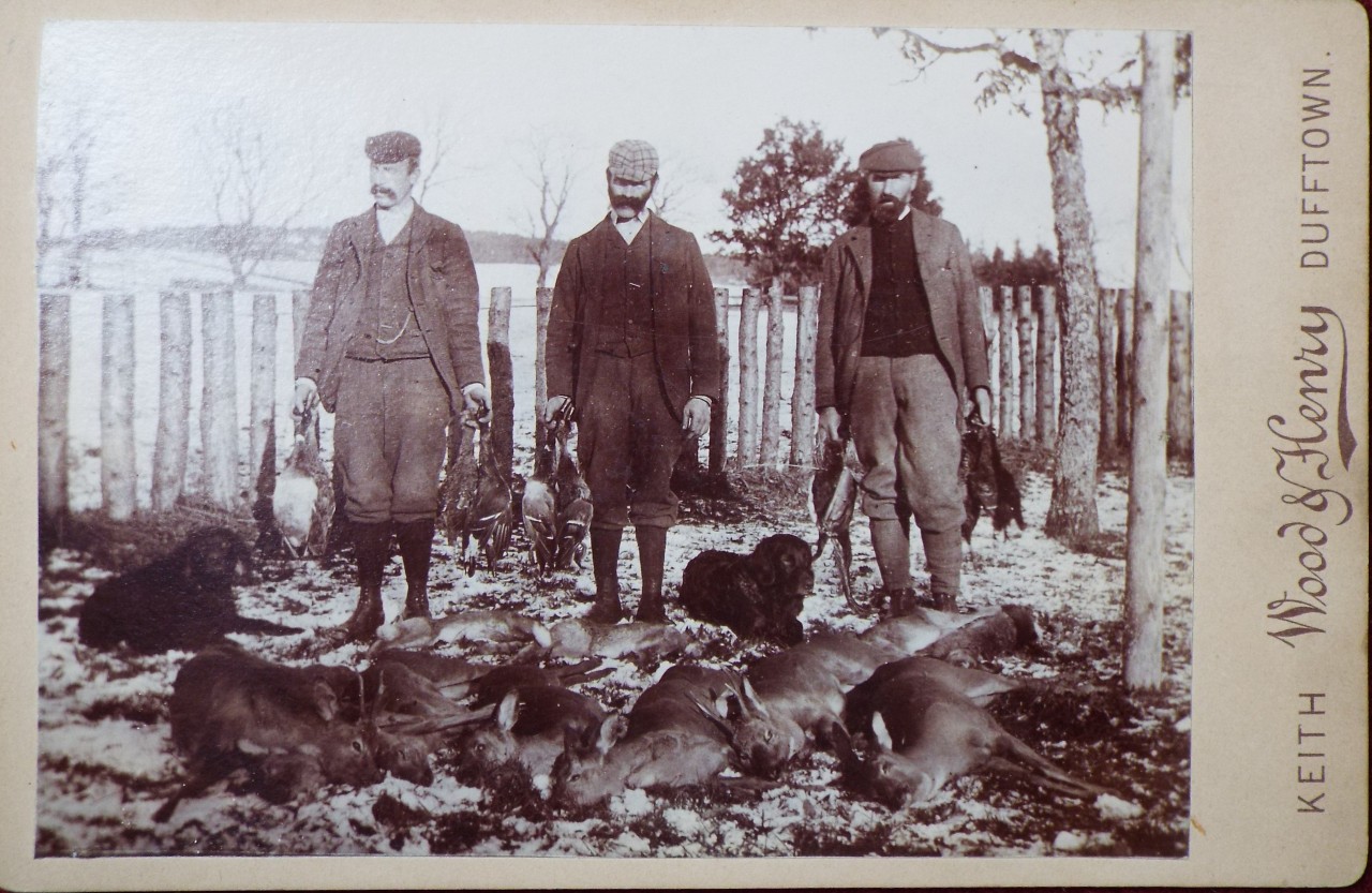 Photograph - Three bearded Scottish sportsmen with their haul of dead game