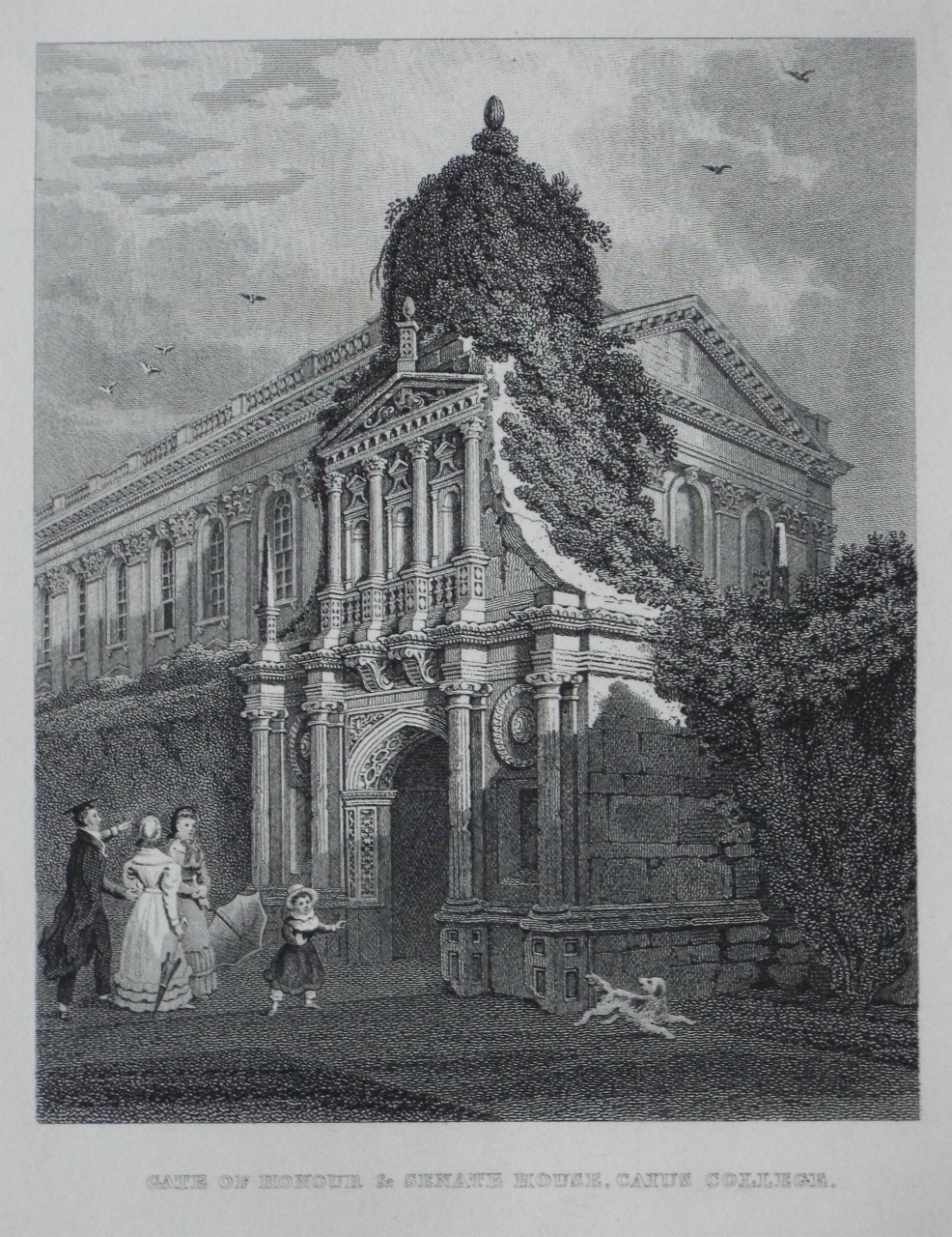 Print - Gate of Honour & Senate House, Caius College.