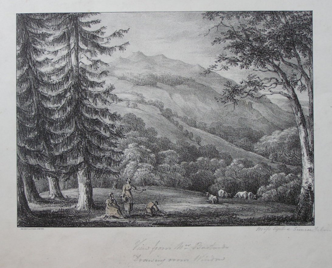 Lithograph - (Landscape with pine trees and cattle) - Hackett,
